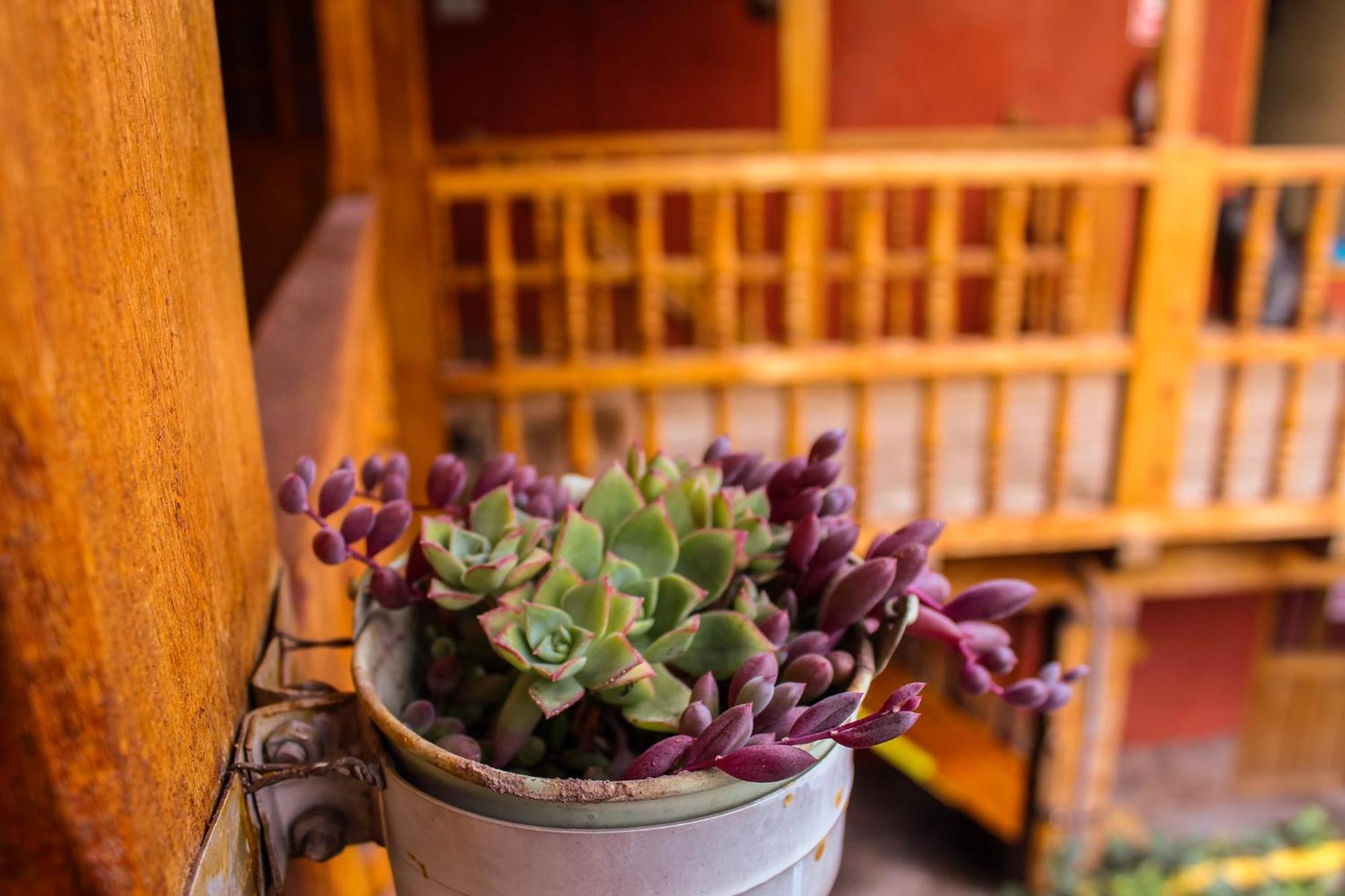 Loki Hostal Cuzco
